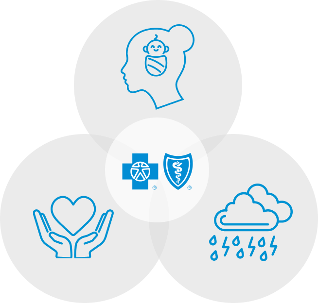 Pregnancy icons: hands holding heart, baby brain, and clouds with rain with Blue Cross Blue Shield in the middle